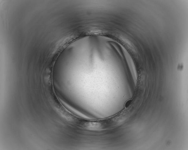 X0000091450361200709061739