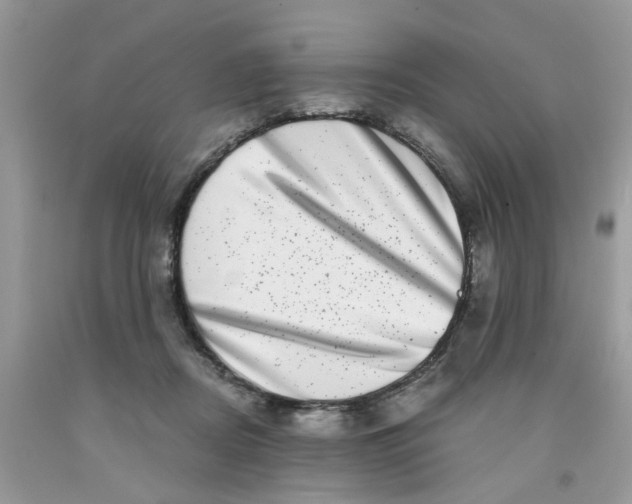 X0000091450362200709061739