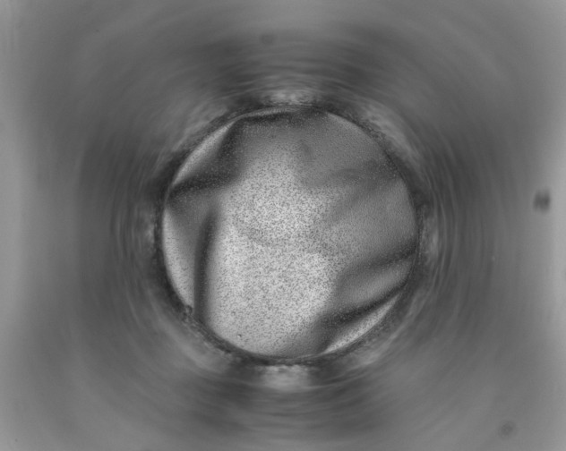 X0000091450363200709061739