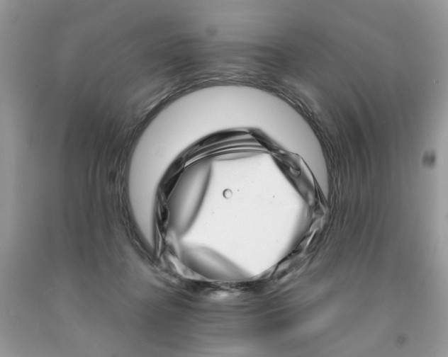 X0000091450364200709061740