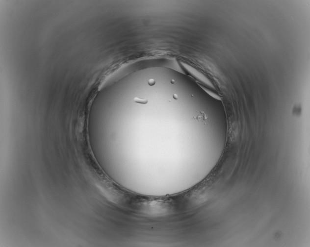 X0000091450365200709061740