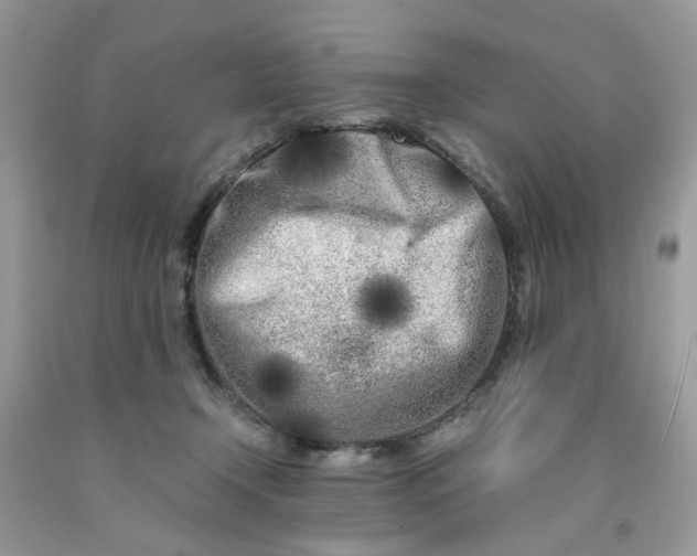 X0000091450366200709061740