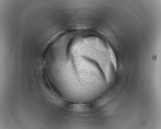 X0000091450367200709061740