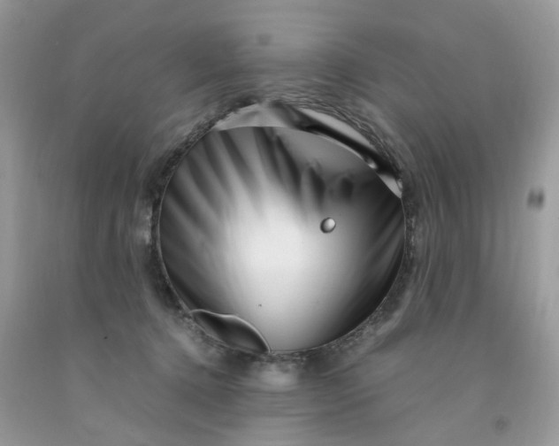 X0000091450368200709061740