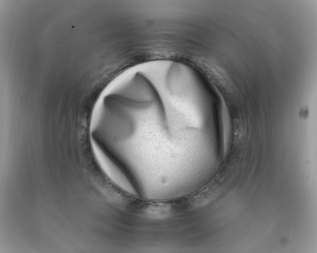 X0000091450369200709061740