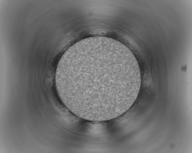 X0000091450370200709061740