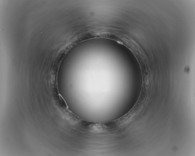 X0000091450372200709061740