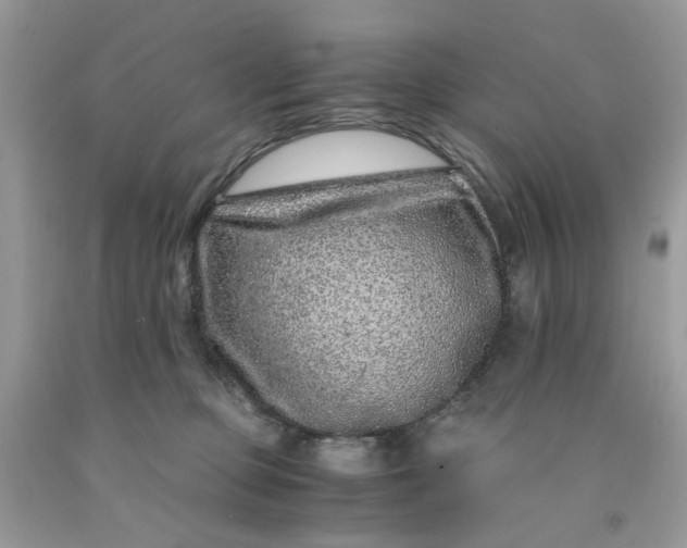 X0000091450373200709061740