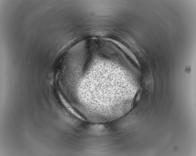 X0000091450374200709061740