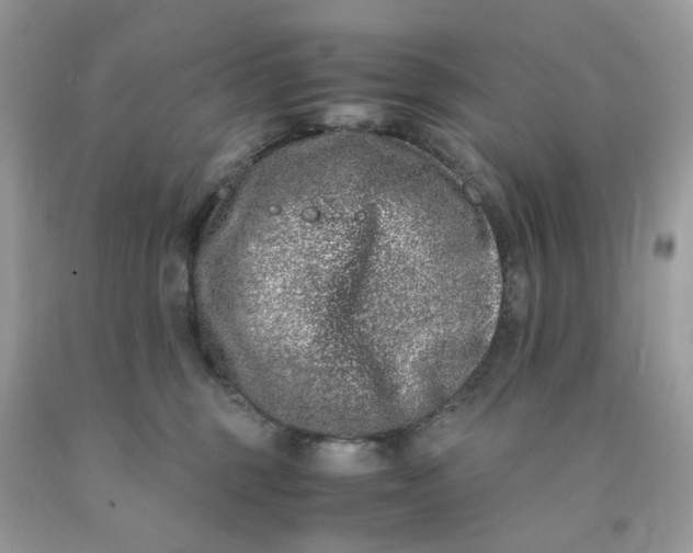 X0000091450375200709061740