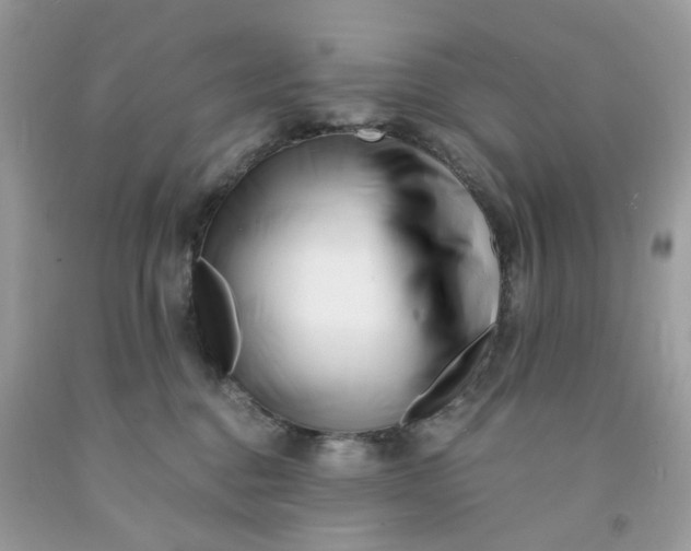 X0000091450376200709061740