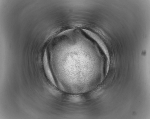 X0000091450377200709061740