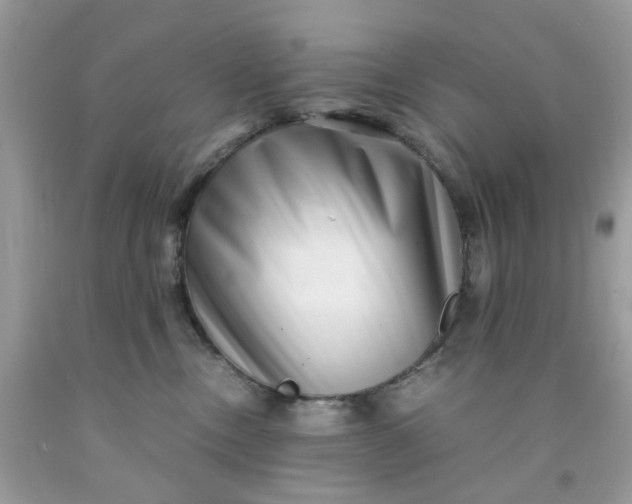 X0000091450378200709061740