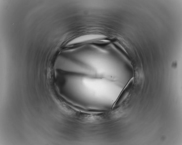 X0000091450379200709061740