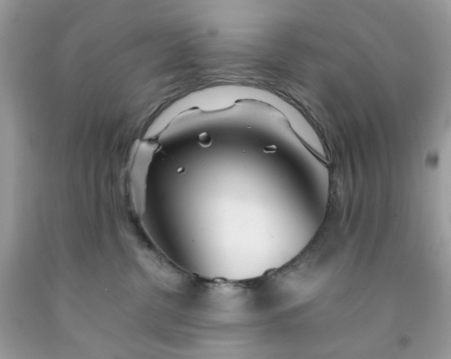 X0000091450380200709061740