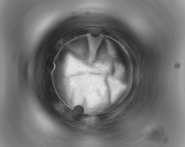 X0000091450383200709061740