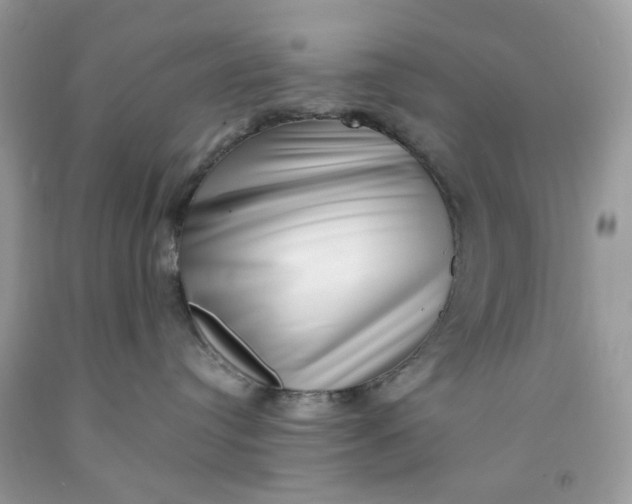 X0000091450384200709061740