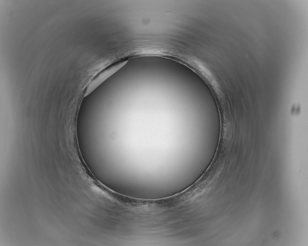 X0000091450385200709061739