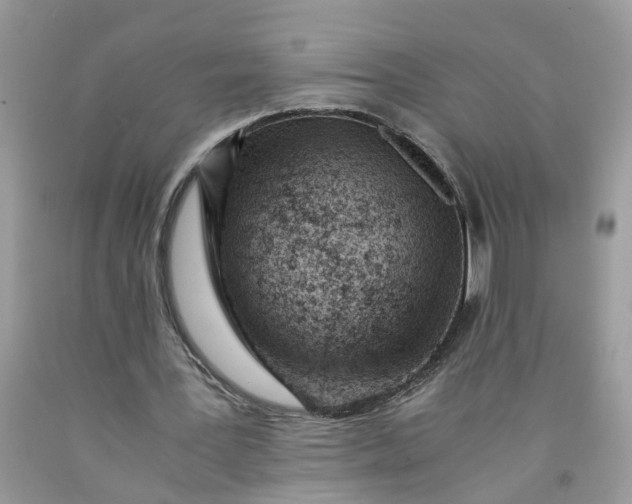 X0000091450387200709061739