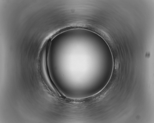 X0000091450388200709061739