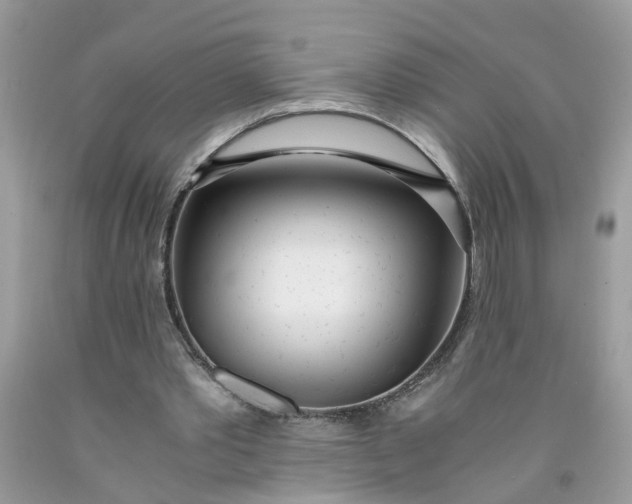 X0000091450389200709061739