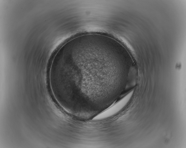 X0000091450391200709061739