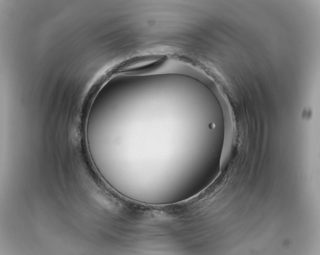 X0000091450392200709061739