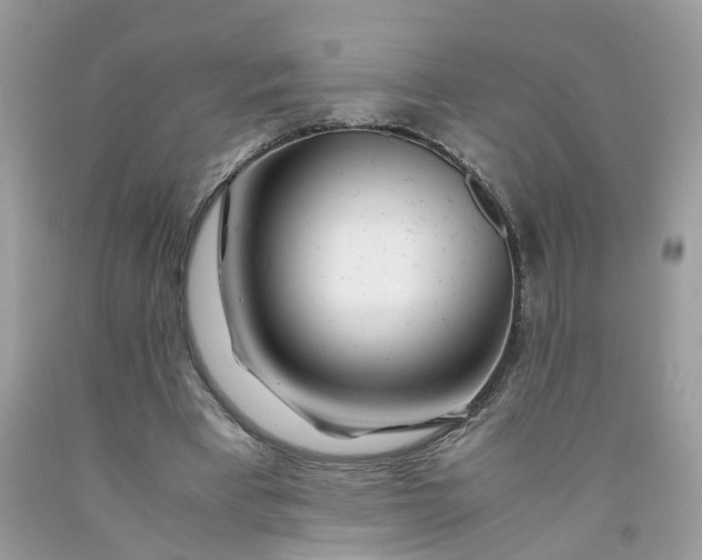 X0000091450393200709061739