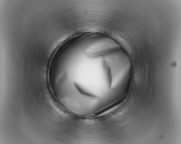 X0000091450394200709061739