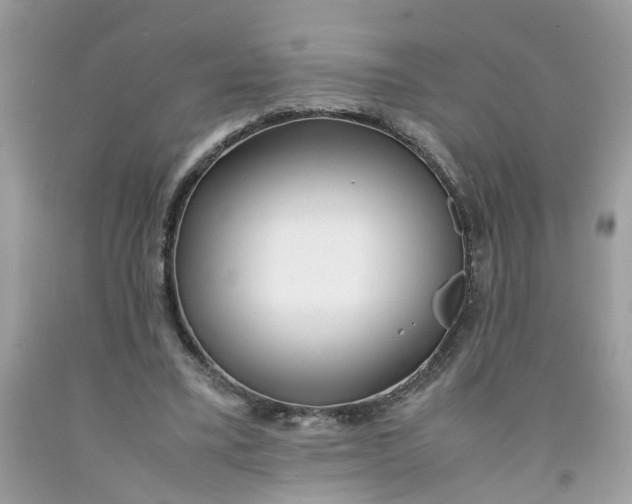 X0000091450395200709061739