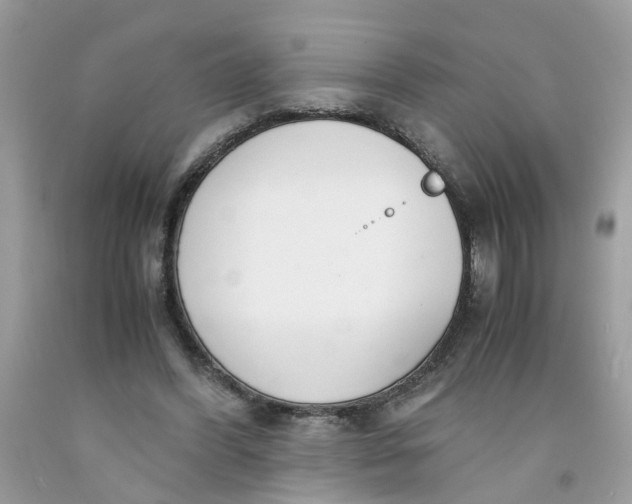 X0000091450396200709061739