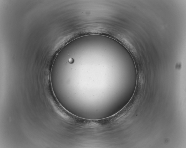 X0000091450397200709061739