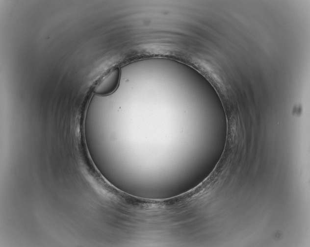 X0000091450398200709061739