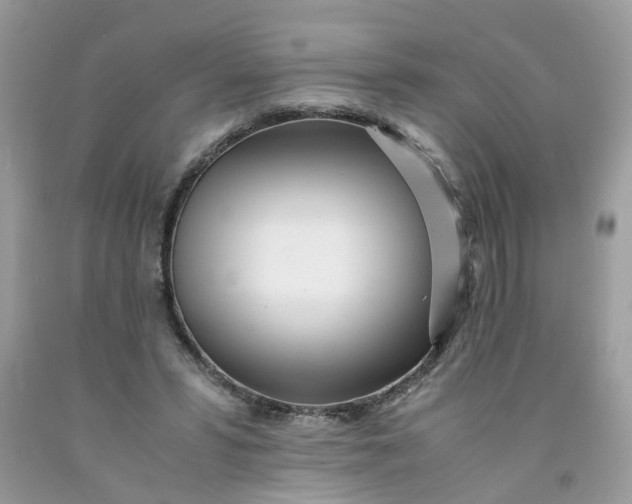 X0000091450399200709061739