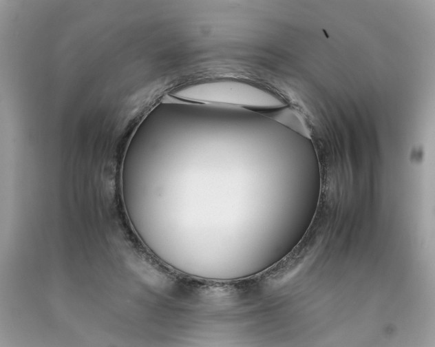 X0000091450402200709061739