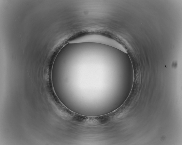 X0000091450403200709061739