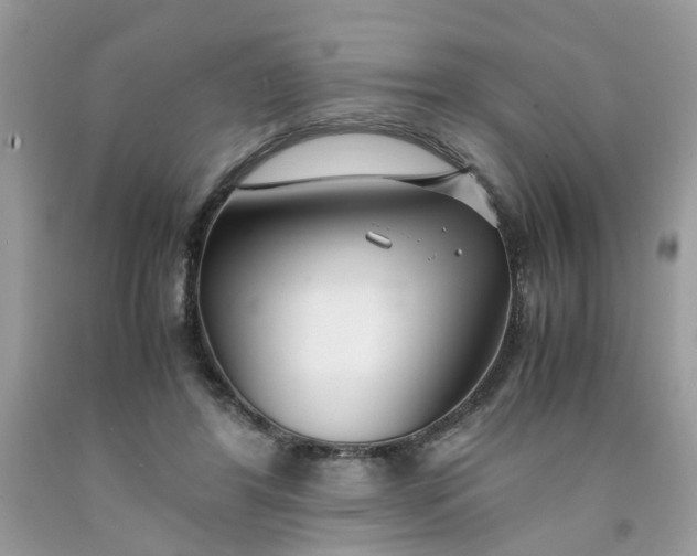 X0000091450404200709061739