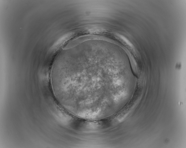 X0000091450405200709061739