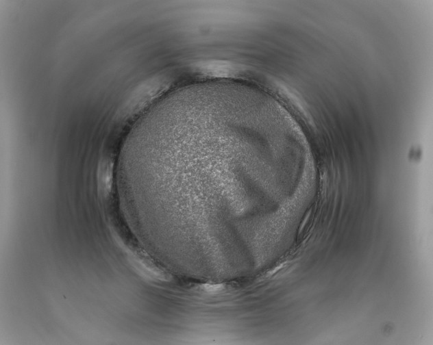 X0000091450406200709061739