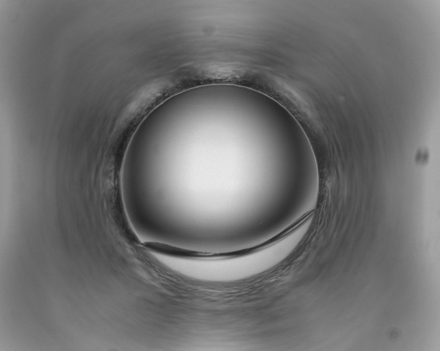 X0000091450407200709061739