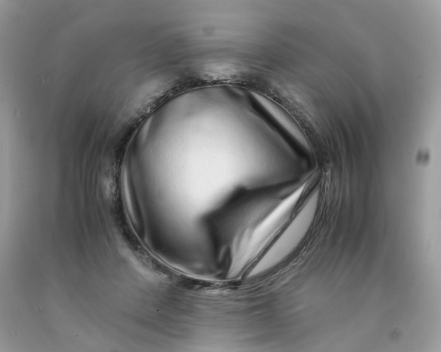 X0000091450408200709061739