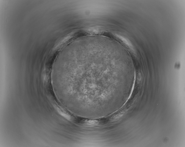 X0000091450409200709061739