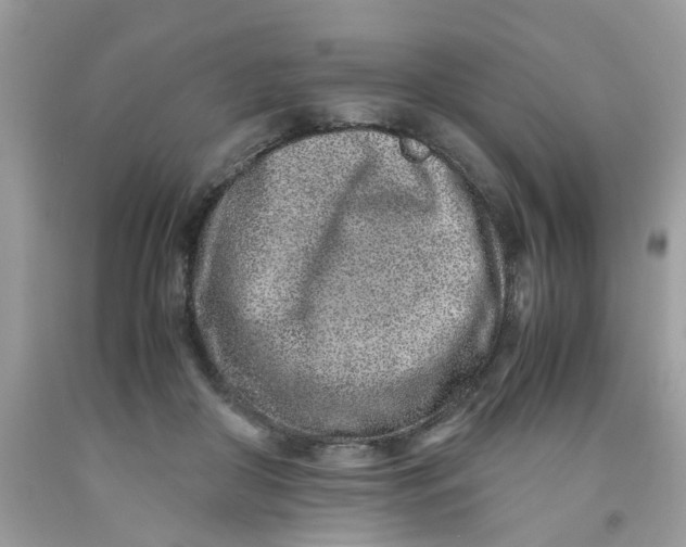 X0000091450410200709061739