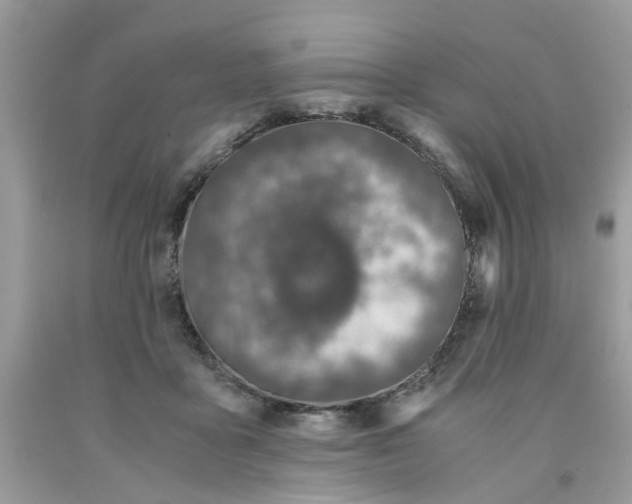 X0000091450411200709061739