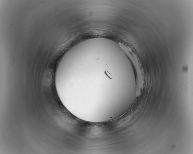 X0000091450412200709061739