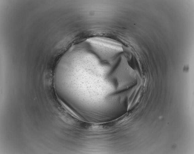 X0000091450413200709061739