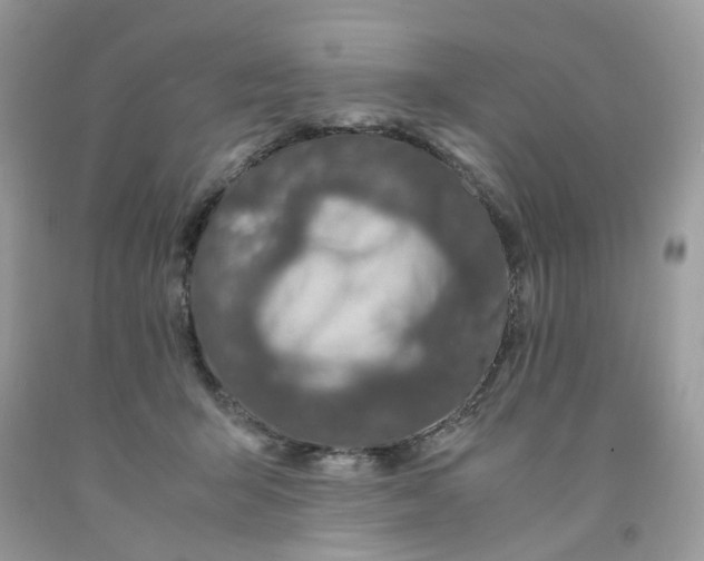 X0000091450415200709061739