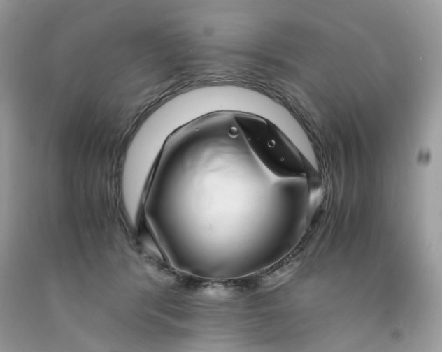 X0000091450416200709061739