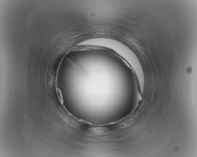 X0000091450417200709061739