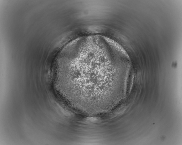 X0000091450418200709061739